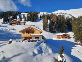Wellness chalet directly on the ski slope